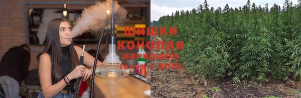 метадон Козельск