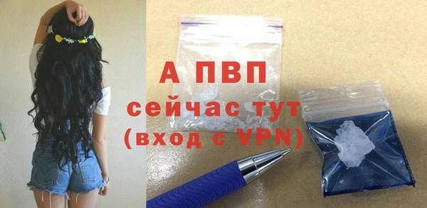 шишки Козловка