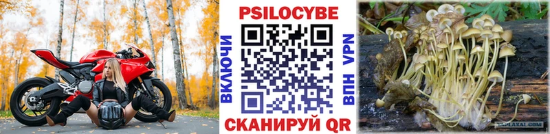Галлюциногенные грибы Psilocybe  МЕГА зеркало  Комсомольск 
